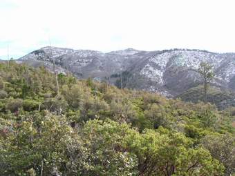 Chiricahua Mtns