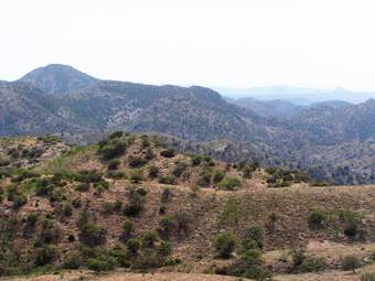 Ruby Rd to California gulch, SE Arizona