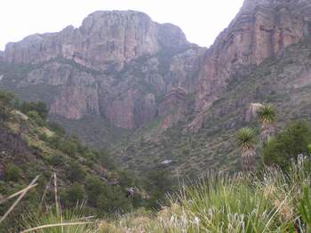 Heading toward Pine Canyon