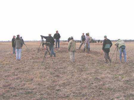 Birders on a Mima Mound