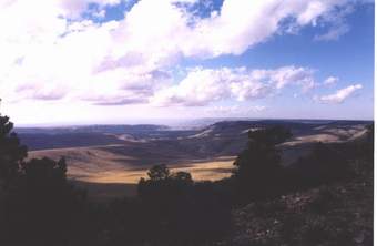 Canyon view from wilderness drive