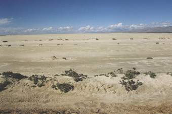 Salt lake