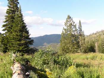 View from Powder Mt.