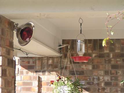 Heat lamp aimed at second feeder under porch