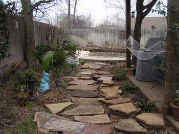 Shade beds Jan '07 with newly dug pool, opposite direction.