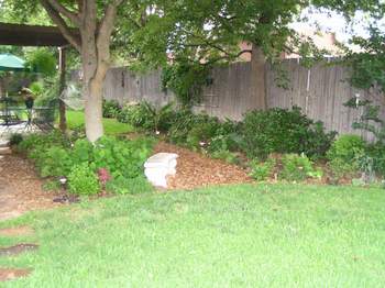 shade beds in June '06