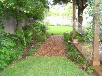 Shade bed in June 06