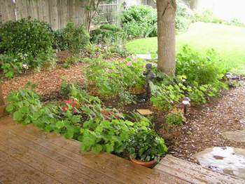 Shade bed in June 06