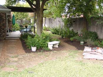 Shade area after beds and path have been added & some shrubs have been planted