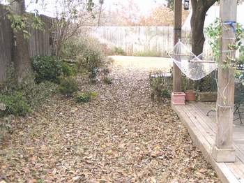 Shade beds covered in Fall leaves