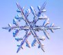snowcrystal.com